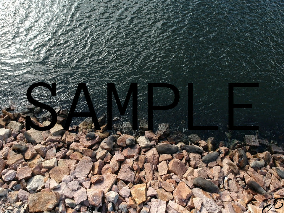 Guardians of the Entrance